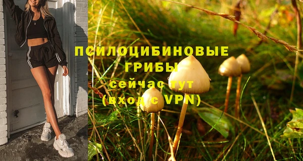 крисы Армянск