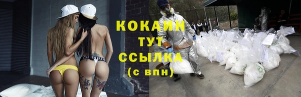 крисы Армянск