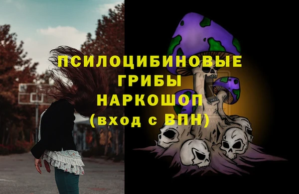 стафф Аркадак