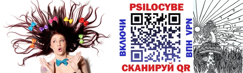Галлюциногенные грибы Psilocybine cubensis  Нижний Ломов 